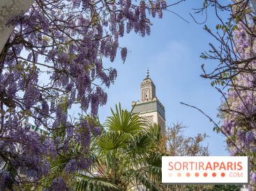 La Mosquée de Paris et son jardin en fleurs