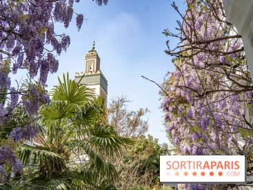 La Mosquée de Paris et son jardin en fleurs