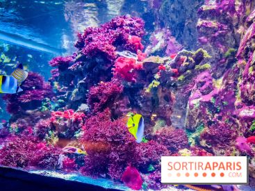 L'Aquarium Tropical de la Porte Dorée