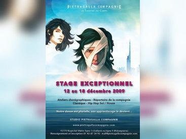 Pietragalla Compagnie, Marie-Claude Pietragalla, Julien Derouault, Romuald Brizolier