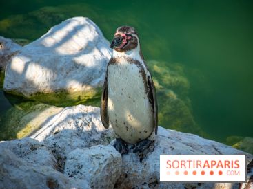 Parrot World, le parc animalier immersif d'Île-de-France