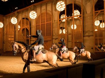 La Voie de l'Ecuyer, le beau spectacle équestre aux Grandes Ecuries de Versailles