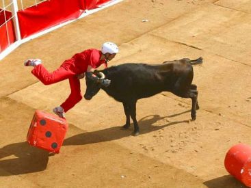 Le célèbre jeu télé Intervilles de retour sur France Télévisions en 2025