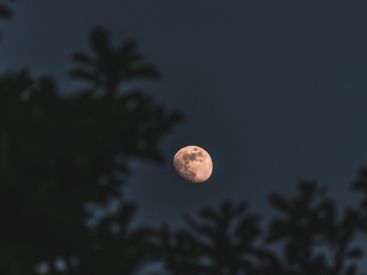 Super Lune du Castor : la dernière grande pleine lune de l'année, quand et pourquoi ce nom ?