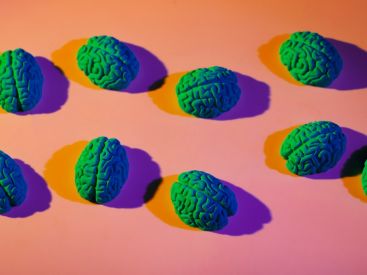 La Semaine du Cerveau 2025 : animations ludiques à la Cité des Sciences et de l'Industrie