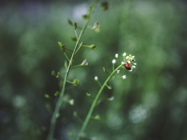Naturally 2025 : le salon bio qui célèbre la nature à la Porte de Versailles 