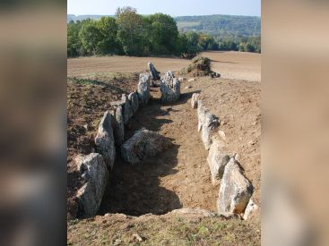 Visite guidée d'un chantier de fouilles archéologiques