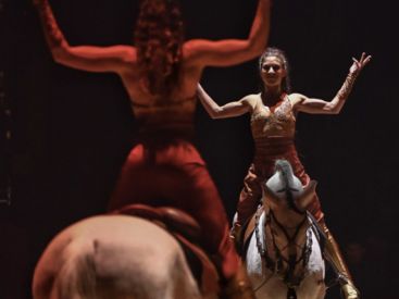 Festival International du Cirque du Val d'Oise (95)