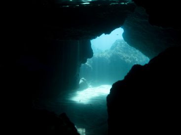 L'appel des profondeurs : l'exposition dans les abysses au Musée de la marine 