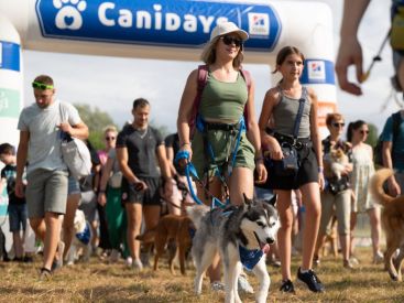 Canidays dans les Yvelines 