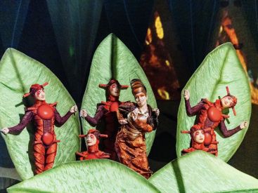 Ovo : le spectacle du Cirque du Soleil en novembre 2026 à l'Arena Porte de la Chapelle