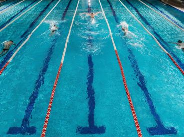 Championnats d'Europe de natation 2026 à Paris : sur quelle chaine regarder la compétition ?