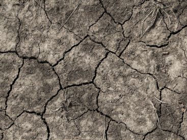 sécheresse
