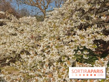 La Fête des sens s'invite au Jardin des Plantes