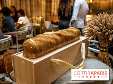 Photos : Les Bûches de Noël 2021 et galettes 2022 de Pierre Chirac et Stephanie Le Quellec