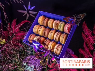 Bûches de Noël de Pierre Hermé 2021 et galettes 2022