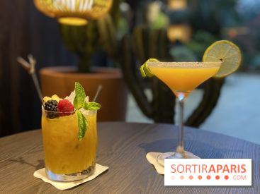 Oceania et sa terrasse en mode jardin méditerranéen à Paris