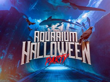 AQUARIUM HALLOWEEN PARTY : Dancefloors uniques au Monde