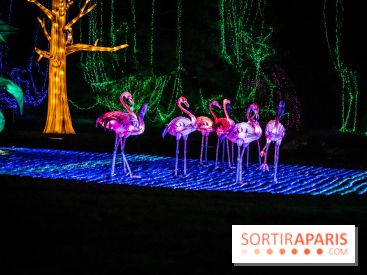 Thoiry Lumières Sauvages 2021-2022