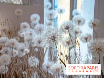 Le Musée Guimet propose une Carte blanche à Duy Anh Nhan Duc