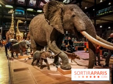 Visuels musée et monument intérieur muséum histoire naturelle