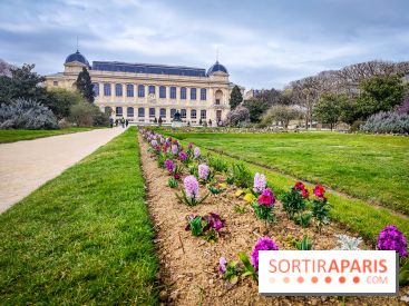 Visuels musée et monument - muséum histoire naturelle jardin des plantes