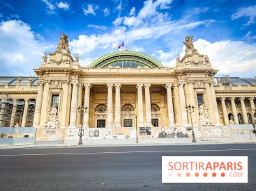 Visuels musée et monument - Grand Palais travaux