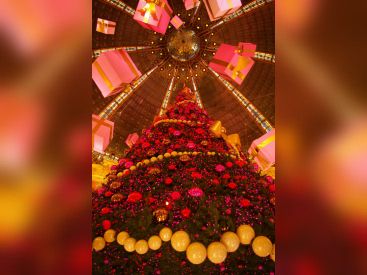 Noël 2009 aux Galeries Lafayette