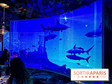 Ephemera, le premier restaurant immersif à Paris