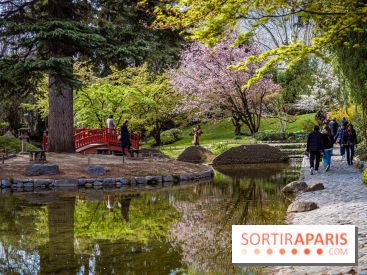 Les jardins du Musée Albert Kahn, nos photos  -  A7C8956