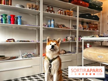 Barkers+Brothers, le concept store canin pour chouchouter son chien à Montmartre