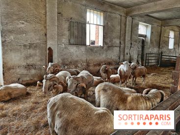 Le Château de Rambouillet et sa Bergerie nationale, un domaine d'exception en Ile-de-France