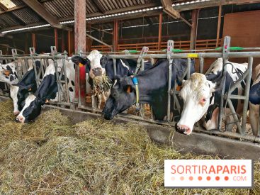 Le Château de Rambouillet et sa Bergerie nationale, un domaine d'exception en Ile-de-France