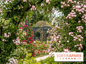 Photos : La Roseraie du val-de-Marne