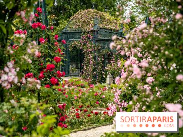 Photos : La Roseraie du val-de-Marne