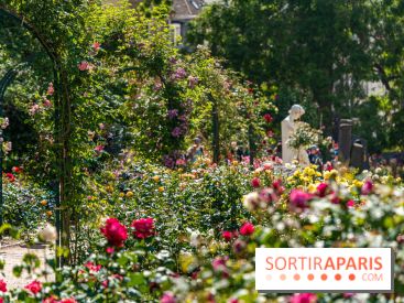 Photos La roseraie du Jardin des Plantes 