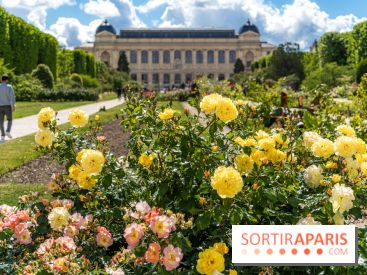 Photos La roseraie du Jardin des Plantes 