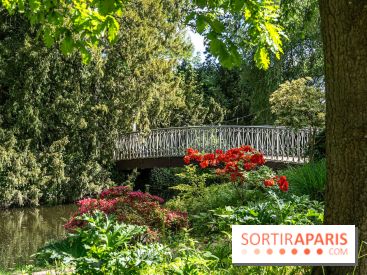 Arboretum de la Vallée-aux-Loups, une balade au milieu des arbres remarquables