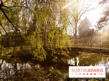 Arboretum de la Vallée-aux-Loups, une balade au milieu des arbres remarquables