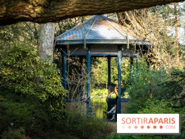 Arboretum de la Vallée-aux-Loups, une balade au milieu des arbres remarquables