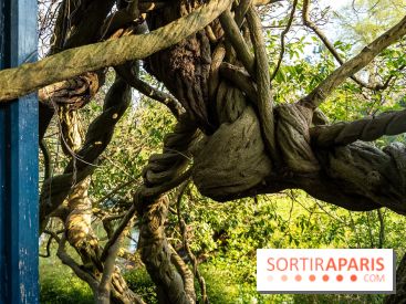 Arboretum de la Vallée-aux-Loups, une balade au milieu des arbres remarquables