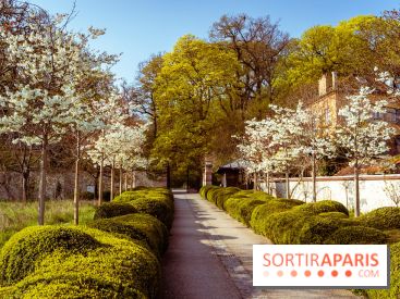 Arboretum de la Vallée-aux-Loups, une balade au milieu des arbres remarquables
