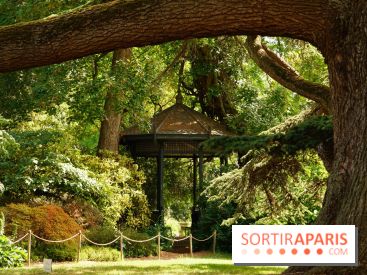 Arboretum de la Vallée-aux-Loups, une balade au milieu des arbres remarquables