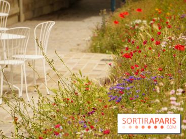 l'Île des Impressionnistes à Chatou