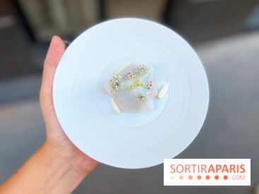 NESO Guillaume Sanchez x The Botanist