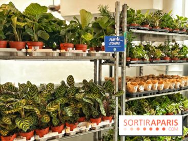 Plantes pour Tous, les prochaines ventes de plantes à partir de 2€ à Paris