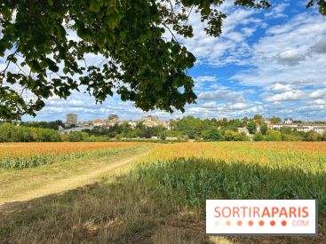 Houdan, ville médiévale et balade historique dans les Yvelines