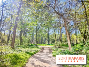 Visuels Paris - forêt bois de Boulogne nature soleil printemps