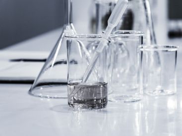 visuel fête de la science