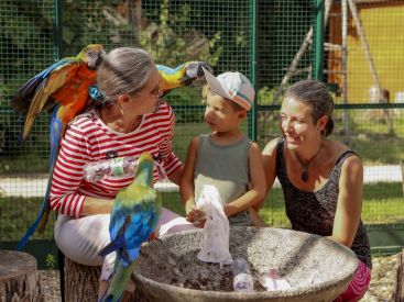 Devenez soigneur le temps d'une journée à la Plume de Vallombreuse (77)